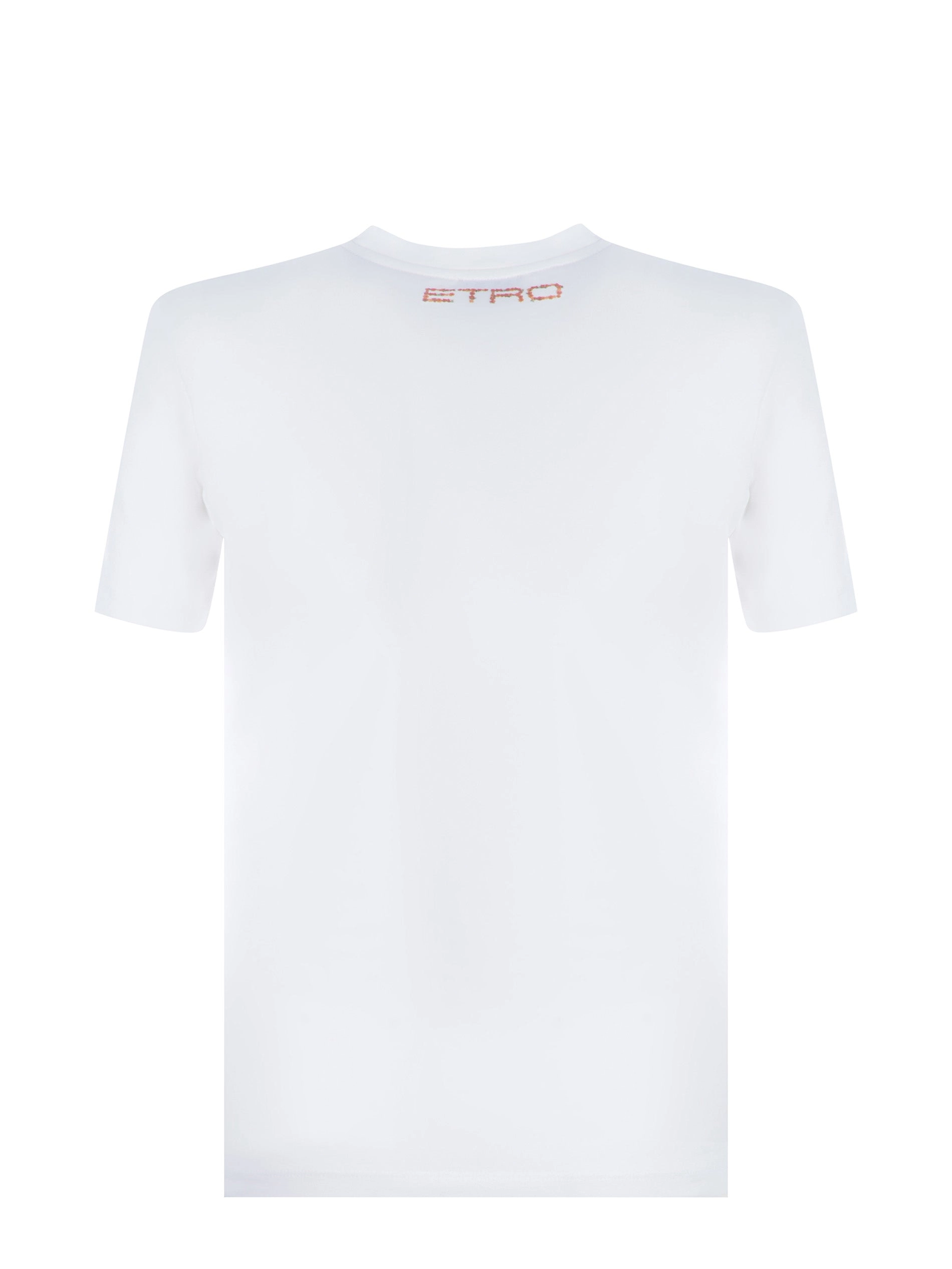 Etro Graphic Print Crewneck T-Shirt
