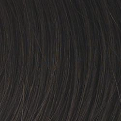 Magnetic Appeal Wig by Gabor | Synthetic
