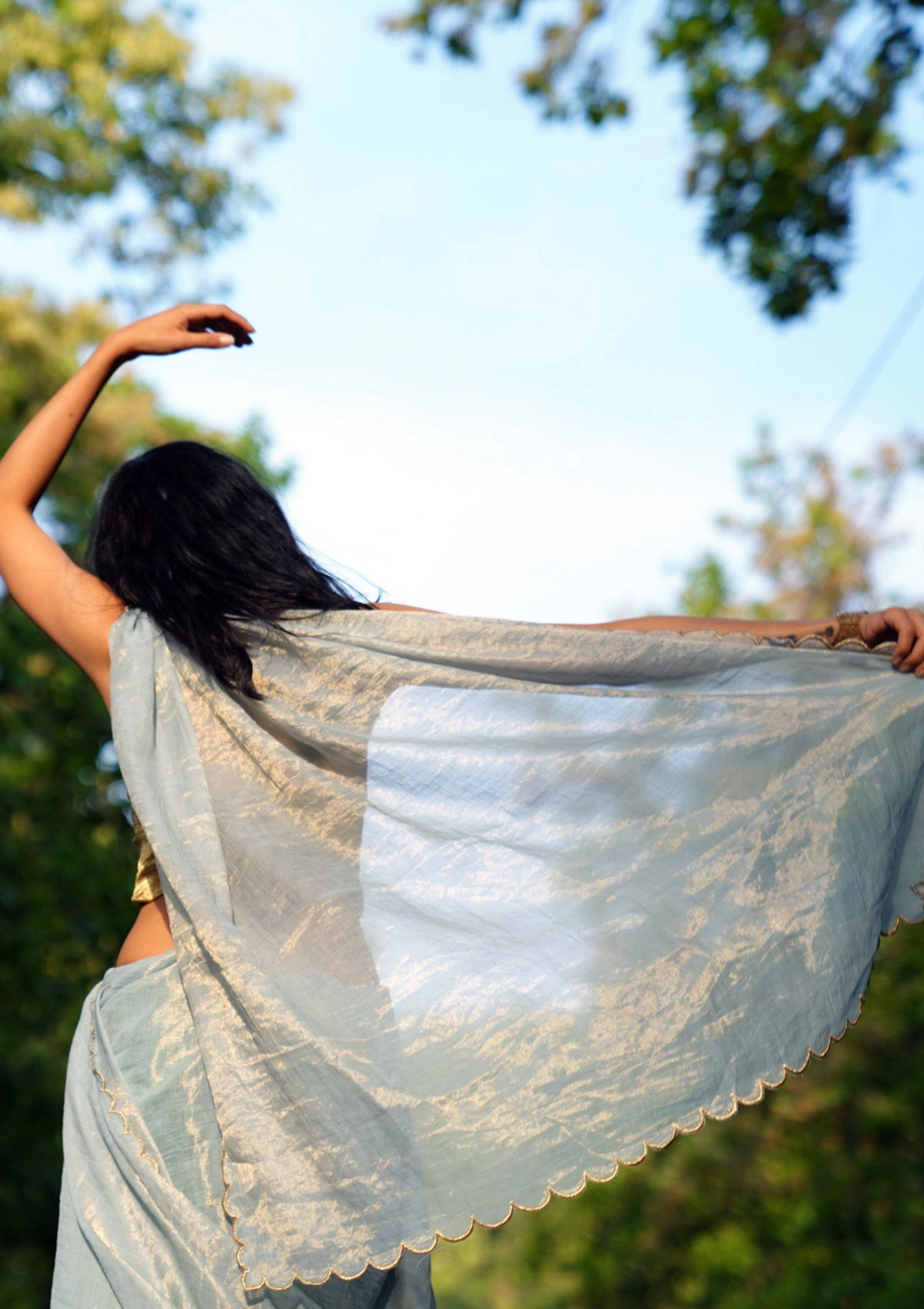 Snowdrop Tissue Chanderi Saree