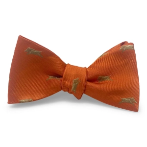 Wild Boar: Bow - Orange